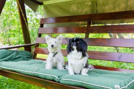 Poppelstrand Nuuksio, Pet Friendly Guest Apartment Kültér fotó